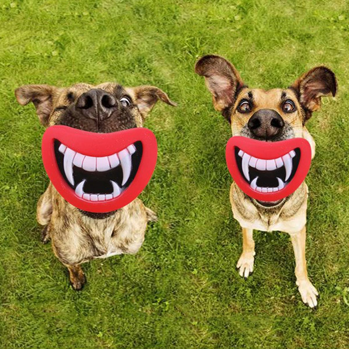 

1pc Creative Dog Sound Toy, Red