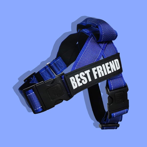 

1pc Dog Letter Graphic Reflective Harness, Blue