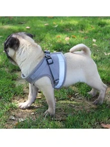 1入組狗狗背帶和1入組狗狗皮帶 - 灰色 - 查看 2