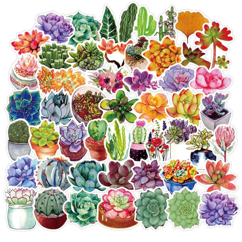 

50pcs Succulent Plants Sticker, Multicolor