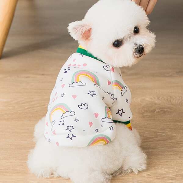 

Dog Rainbow & Star Print Top, Multicolor