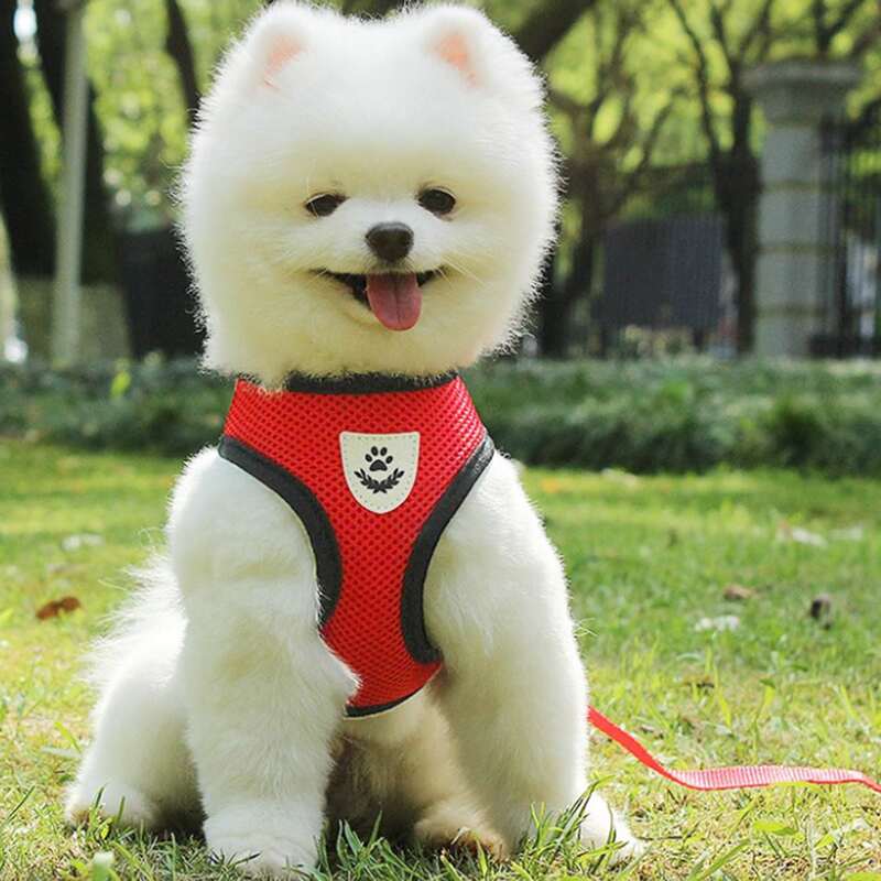 

1pc Dog Breathable Harness & 1pc Leash, Red