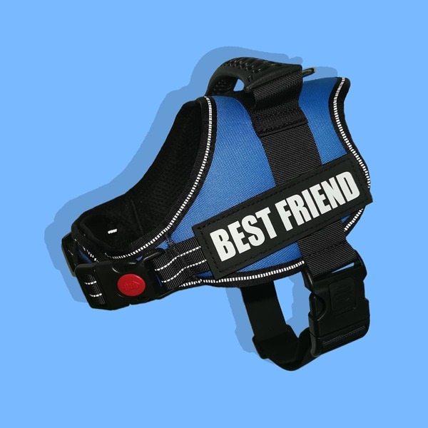 

1pc Letter Graphic Dog Harness, Blue