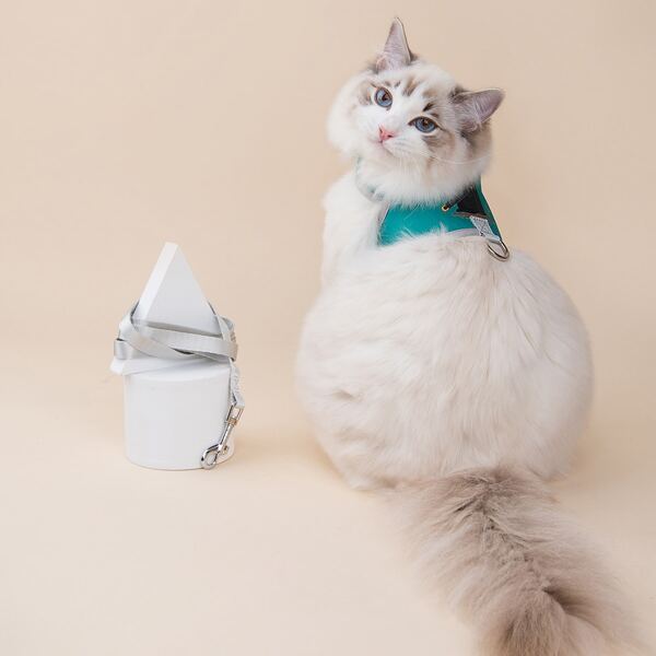 

1pc Cat Cartoon Graphic Harness & 1pc Leash, Cadet blue