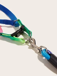 1入組牽繩與1入組胸背帶,尼龍彩色寵物牽繩行走套裝,適用於狗狗,遠足、戶外活動、牽引用途 - 彩色 - 查看 4
