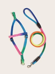 1入組牽繩與1入組胸背帶,尼龍彩色寵物牽繩行走套裝,適用於狗狗,遠足、戶外活動、牽引用途 - 彩色 - 查看 5