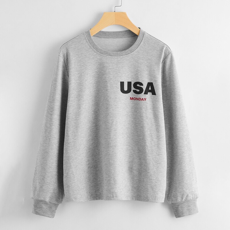 

American Flag And Letter Print Sweatshirt, Light grey
