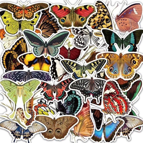 

50pcs Butterfly Pattern Sticker, Multicolor