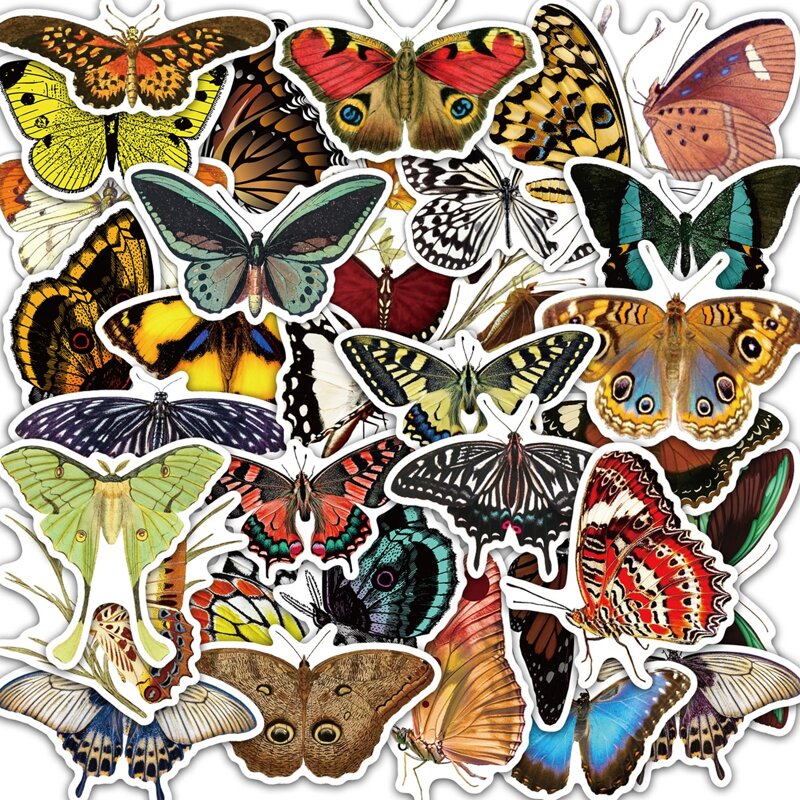 

50pcs Butterfly Pattern Sticker, Multicolor