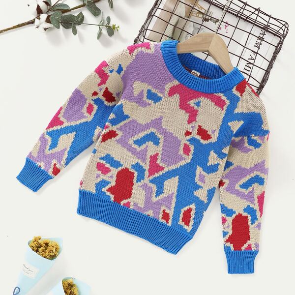 

Toddler Girls Color Block Drop Shoulder Sweater, Multicolor