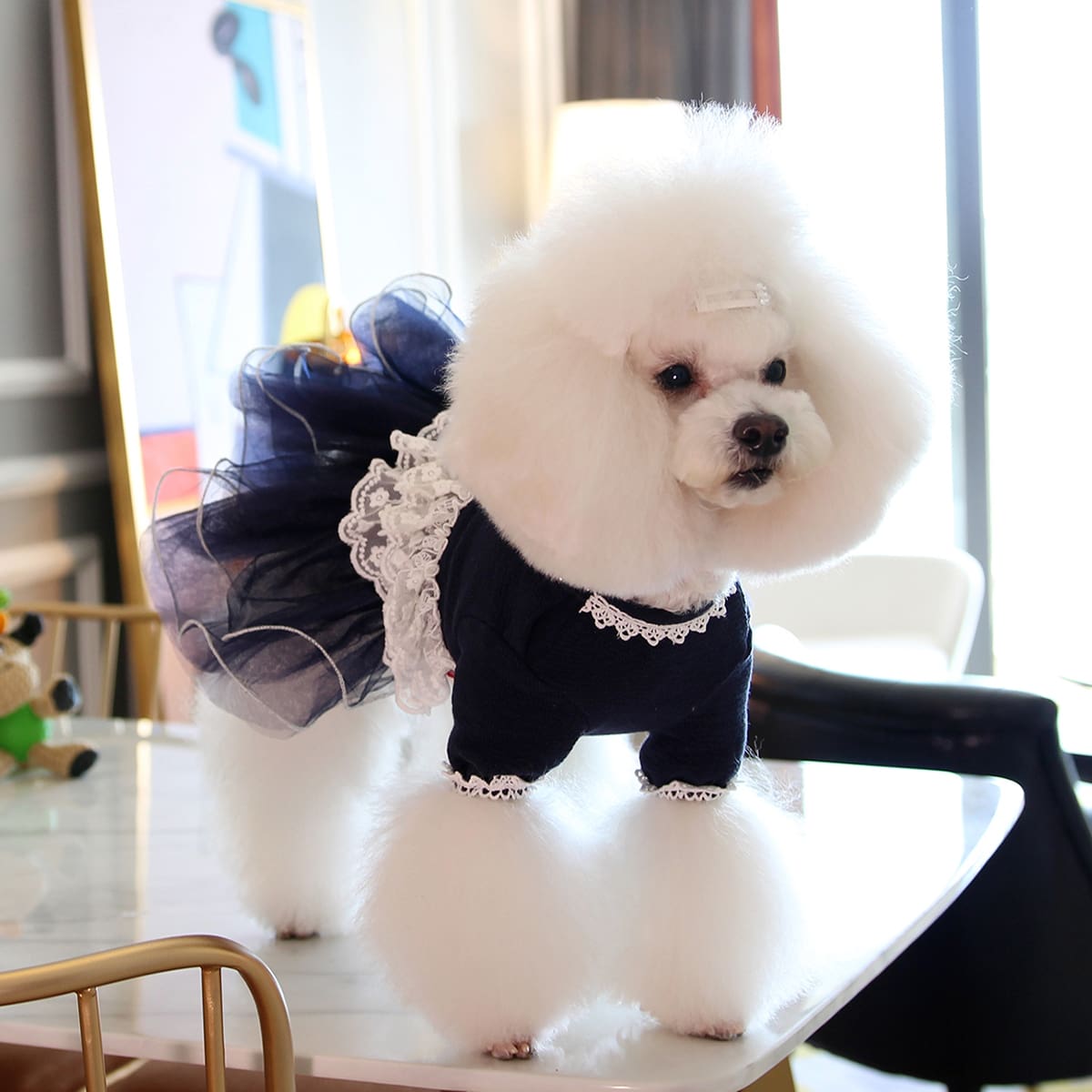 

1pc Dog Lace Dress, Blue