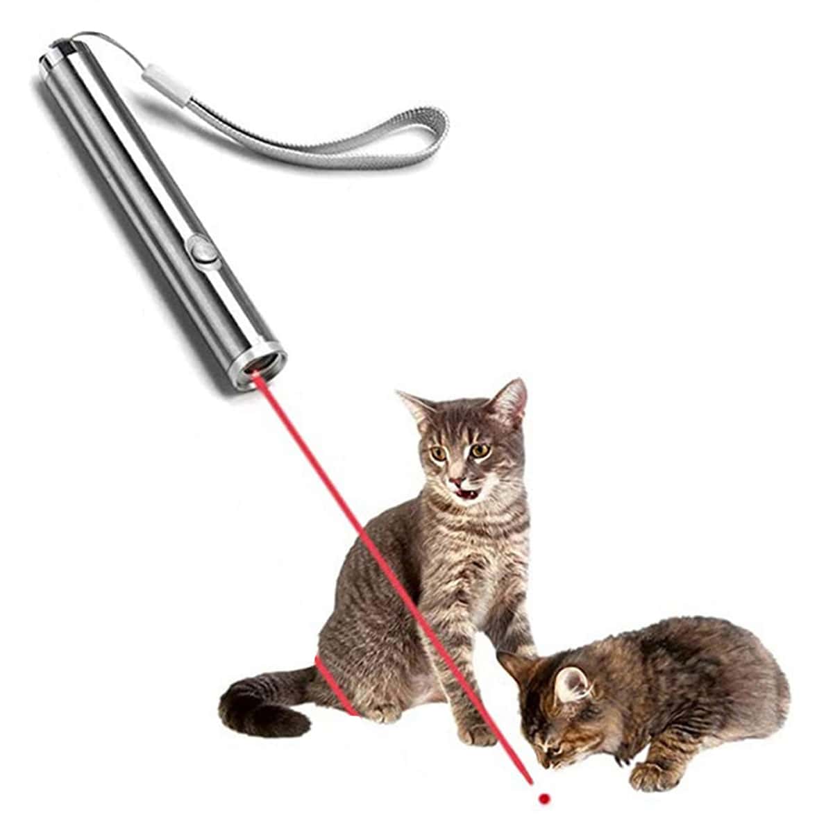

Two In One Laser Cat Teaser, Silver