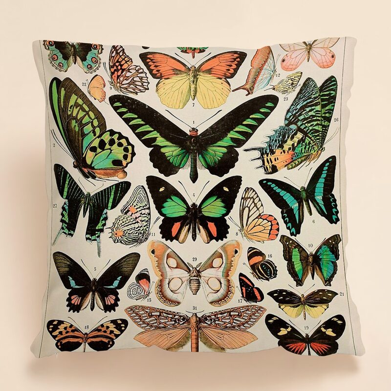

Butterfly Print Cushion Cover Without Filler, Multicolor