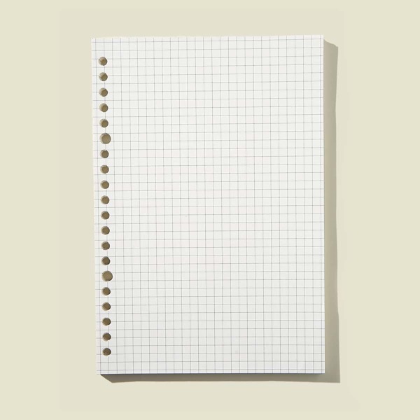 

60sheets 20 Hole Loose-leaf Refill Paper, White