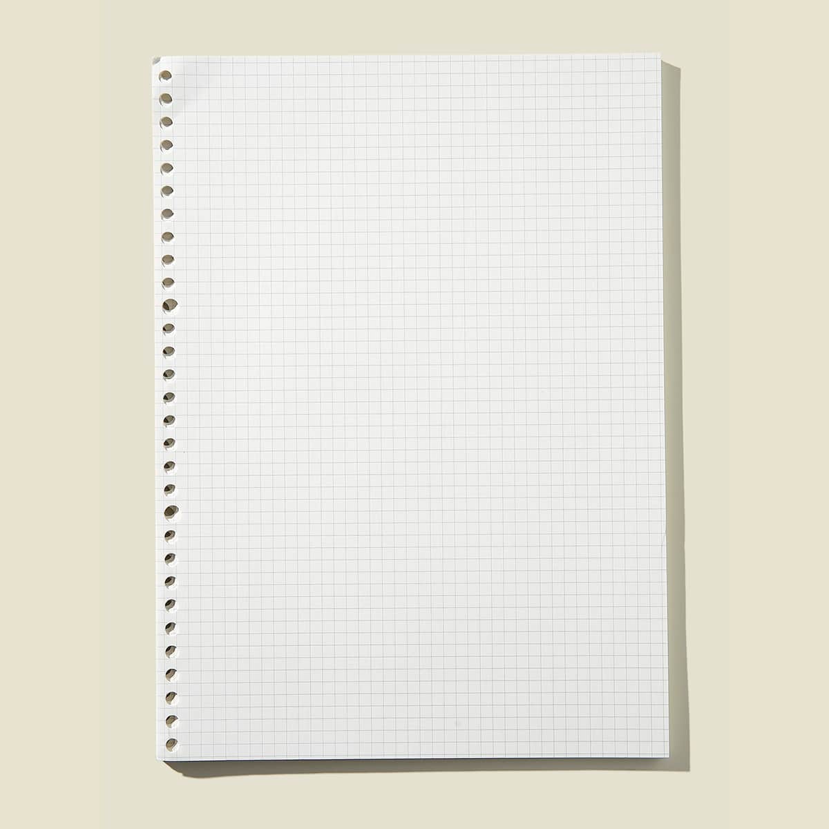 

60sheets 30 Hole Loose-leaf Refill Paper, White