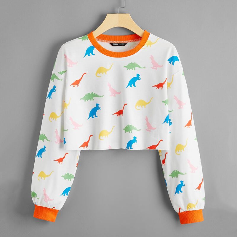 

Contrast Trim Allover Dinosaur Crop Pullover, White
