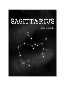 Constellation Print Wall Painting Without Frame - Black - View 2