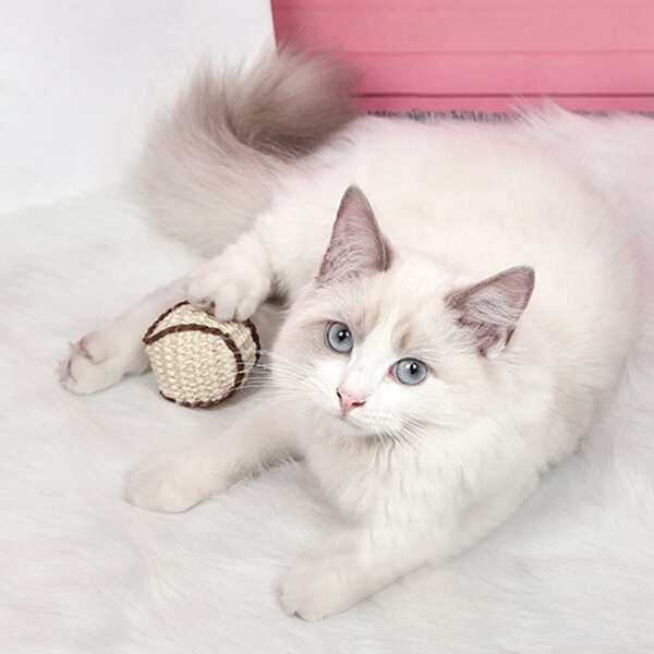 

1pc Cat Scratching Toy Ball, Beige