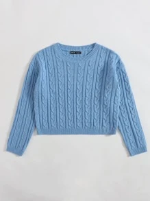 SHEIN Unity Drop Shoulder Cable Knit Crop Jumper - Blue - View 3