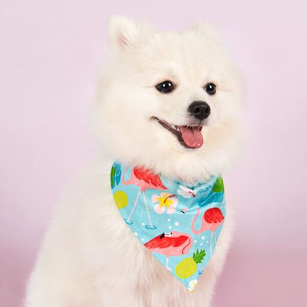

1pc Tropical Print Dog Bib, Blue