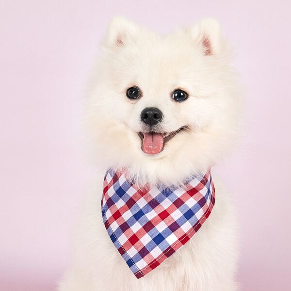 

1pc Gingham Dog Triangle Bib, Royal blue