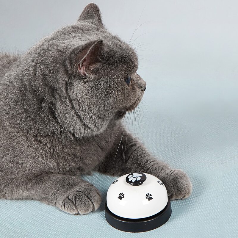 

1pc Cat Training Ring Bell, White