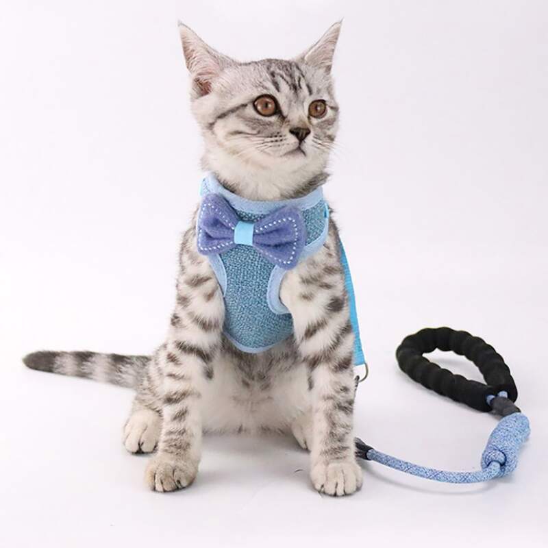 

1pc Bow Decor Cat Harness & 1pc Leash, Blue