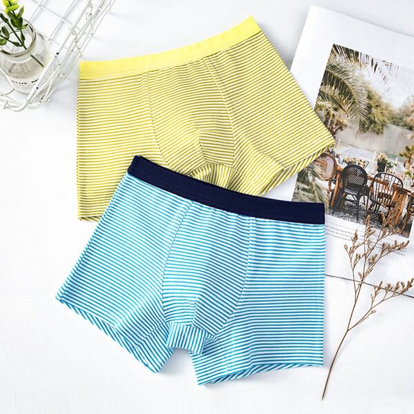 

Toddler Boys 2pcs Striped Underwear, Multicolor