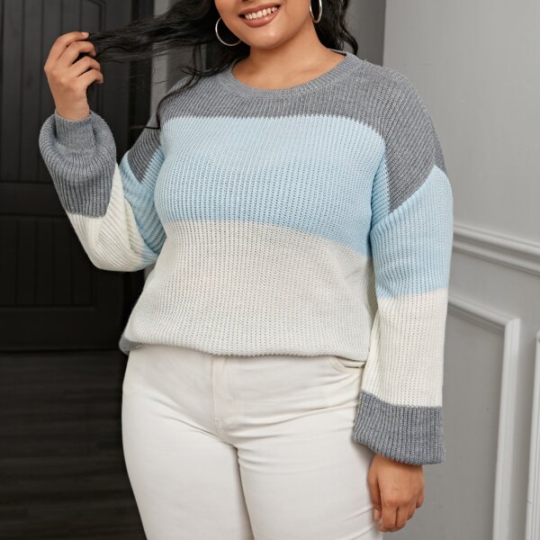 

Plus Colorblock Drop Shoulder Sweater, Multicolor