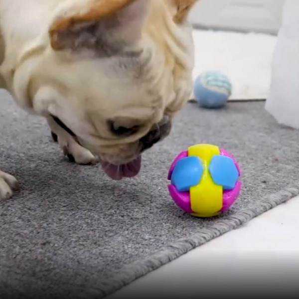 

1pc Dog Colorblock Training Toy Ball, Multicolor