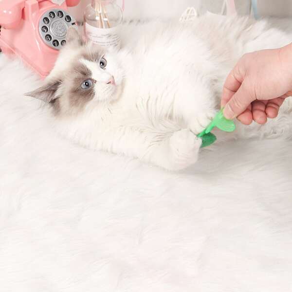 

1pc Cat Cartoon Fish Toy, Green