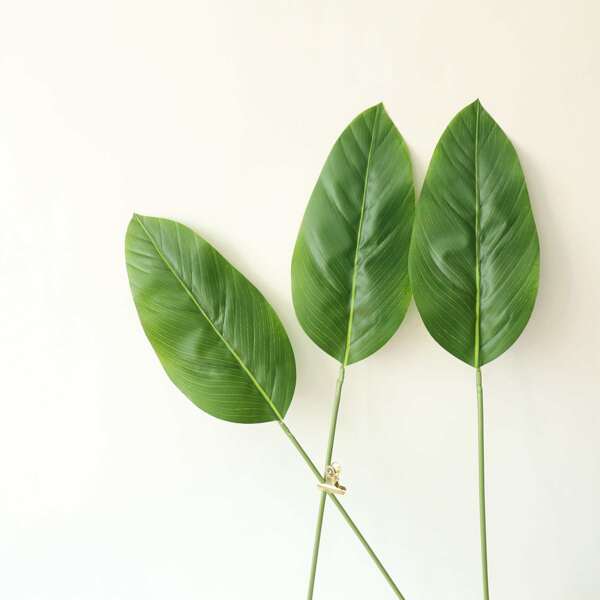 

3pcs Artificial Leaf, Green