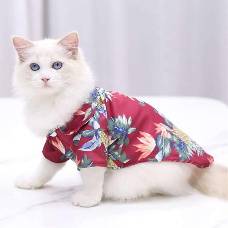 

1pc Flower Print Cat Shirt, Red