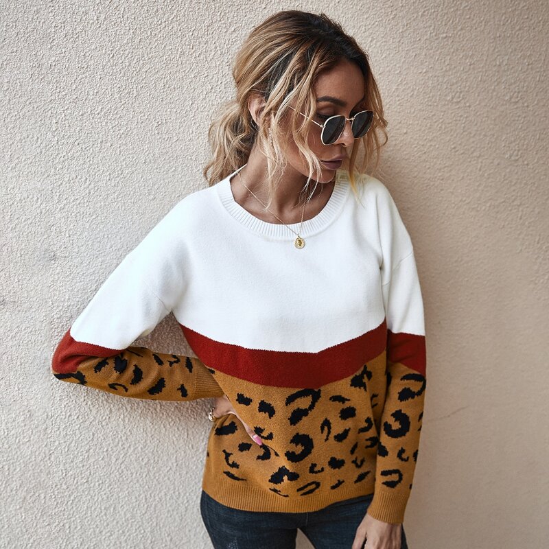 

Cheetah Pattern Colorblock Sweater, Multicolor