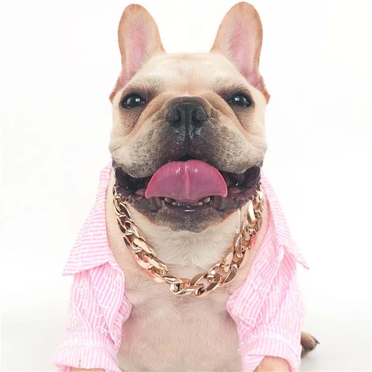 

1pc Dog Chain Collar, Gold
