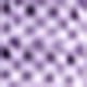 Lilac Purple