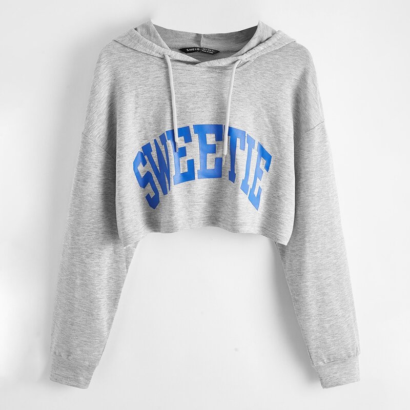 

Drop Shoulder Letter Graphic Crop Hoodie, Grey
