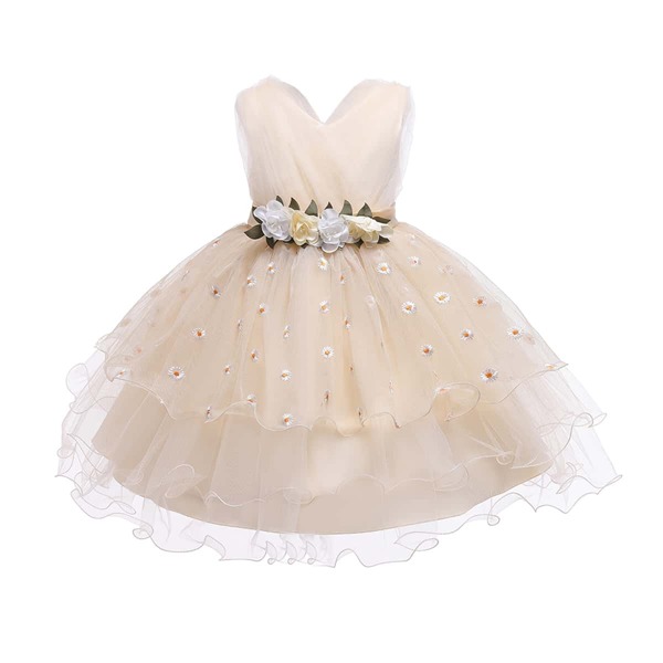 

Toddler Girls Daisy Floral Embroidery Appliques Tulle Gown Dress, Apricot