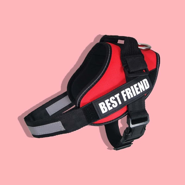 

Letter Graphic No Pull Dog Harness, Red