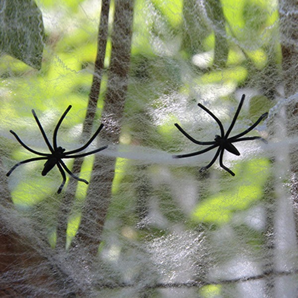 

1set Halloween Artificial Cobweb & Spider, White