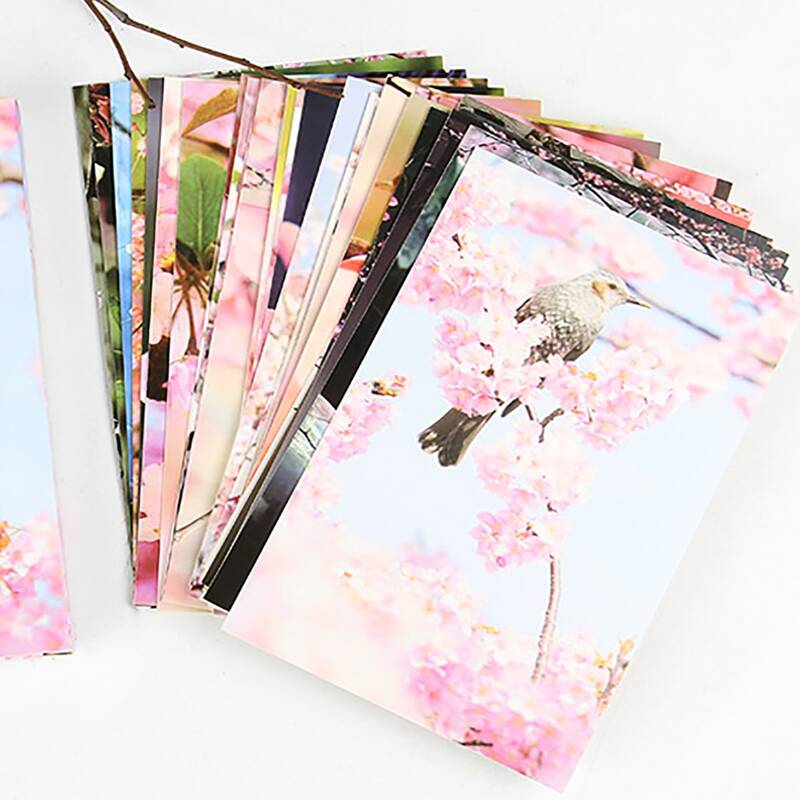 

30sheets Landscape Print Postcard, Multicolor