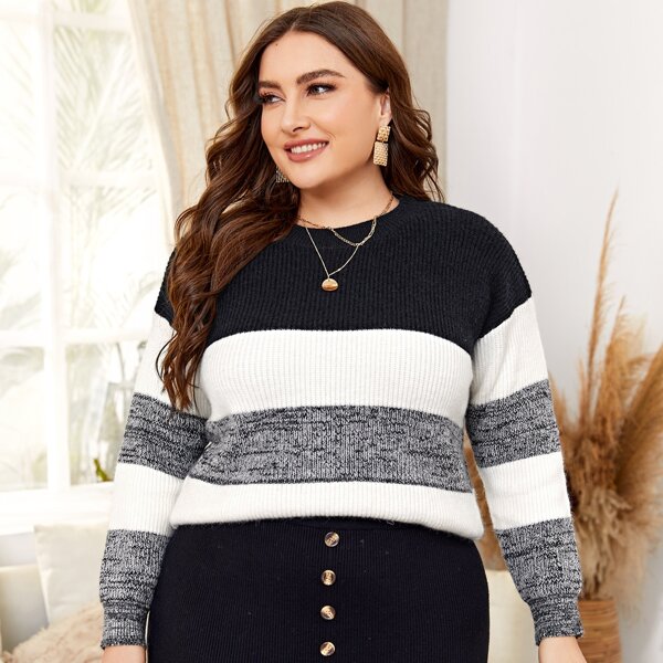 

Plus Drop Shoulder Cut And Sew Sweater, Multicolor