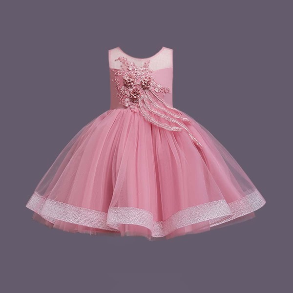 

Toddler Girls Floral Appliques Mesh Panel Dress, Dusty pink