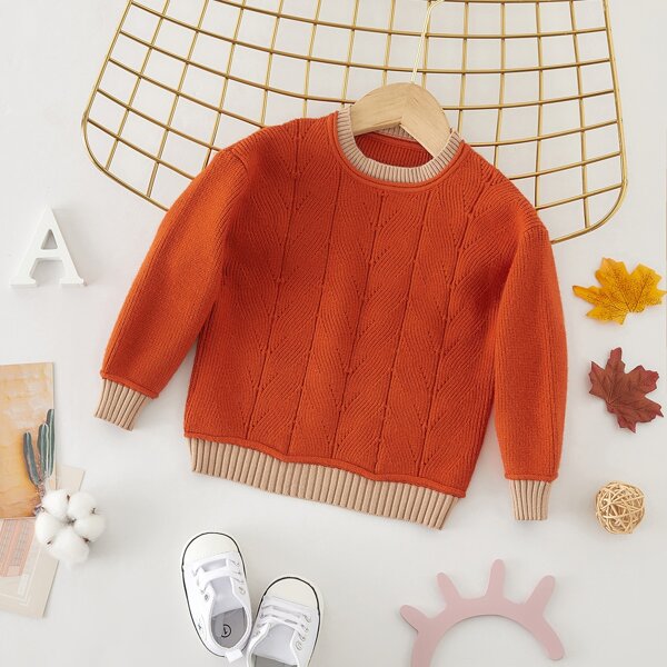 

Baby Unisex Contrast Trim Sweater, Burnt orange