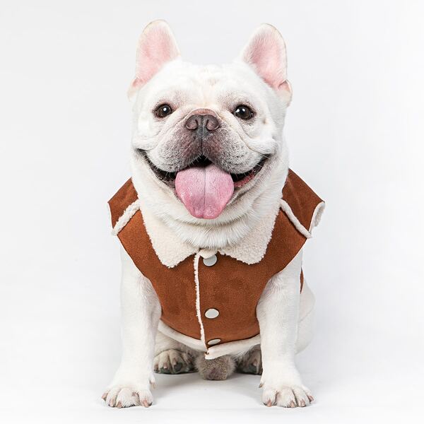 

Two Tone Dog Coat, Brown
