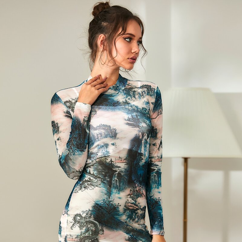 

Mock Neck Landscape & Chinese Dragon Graphic Mesh Bodycon Dress, Multicolor