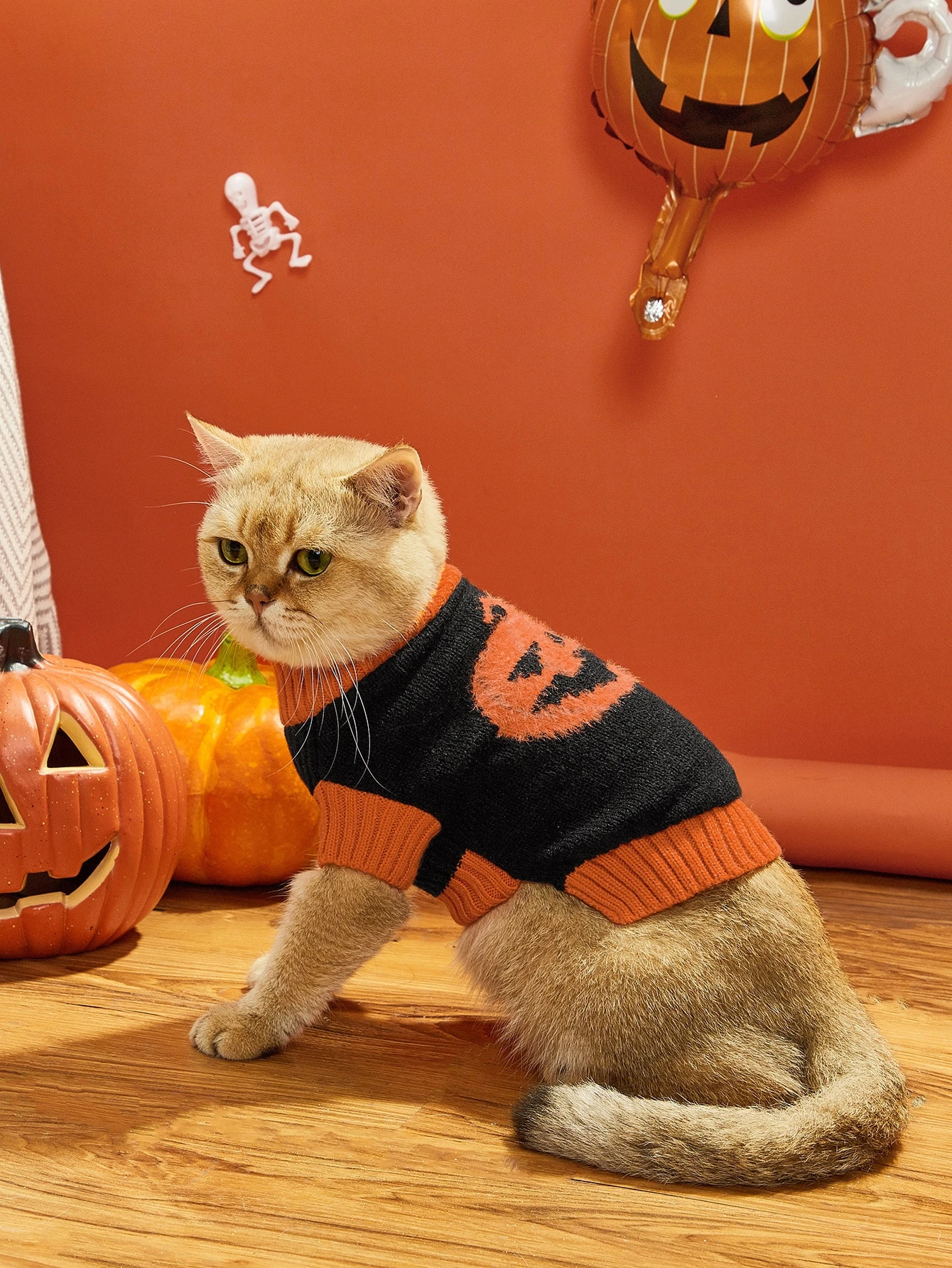 cat and pumpkin sweater
