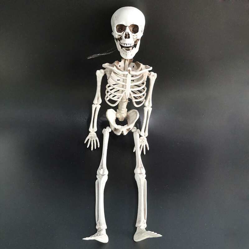 

1pc Halloween Skeleton Decoration, White