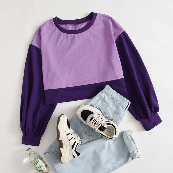 

Plus Colorblock Drop Shoulder Crop Sweatshirt, Purple