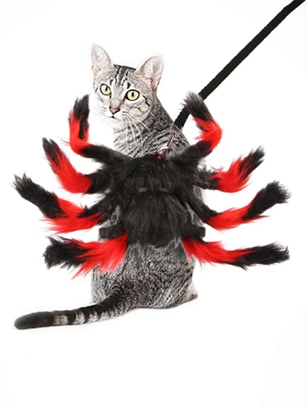 1 Piece Harnais De Chat En Forme D Araignee 1 Piece Laisse De Chat Mode En Ligne Shein France 1 Piece Harnais De Chat En Forme D Araignee 1 Piece Laisse De Chat Mode En Ligne Shein France